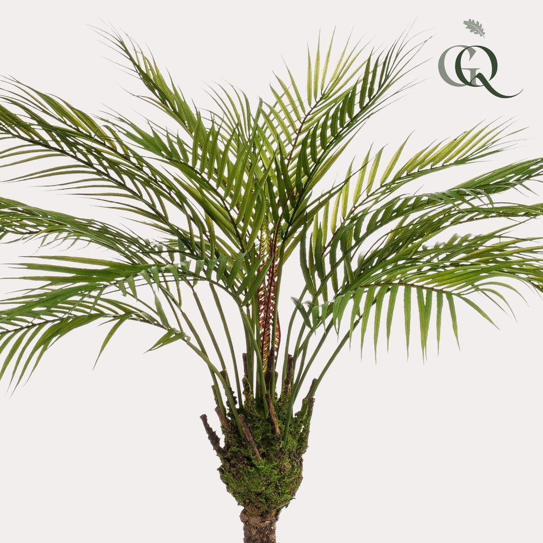 Chamaedorea Elegans- Bergpalme - 85 cm -kunstpflanze-Plant-Botanicly