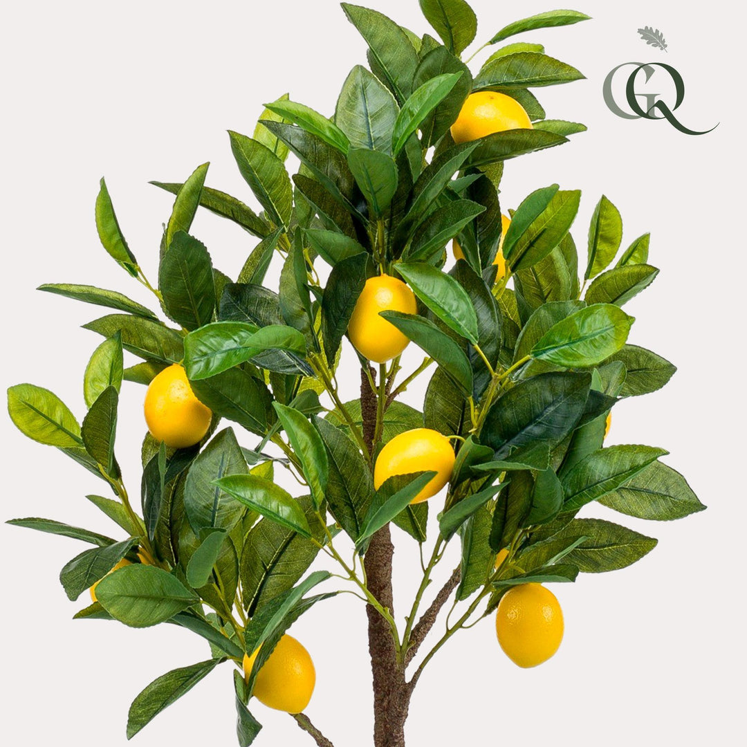 Citrus Limonia - Zitronenbaum - 72 cm - kunstpflanze-Plant-Botanicly