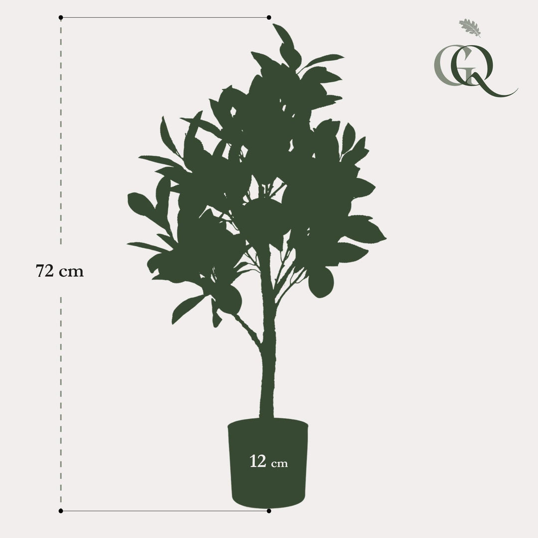 Citrus Limonia - Zitronenbaum - 72 cm - kunstpflanze-Plant-Botanicly