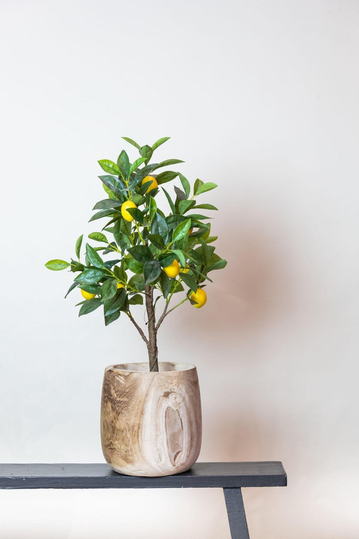 Citrus Limonia - Zitronenbaum - 72 cm - kunstpflanze-Plant-Botanicly