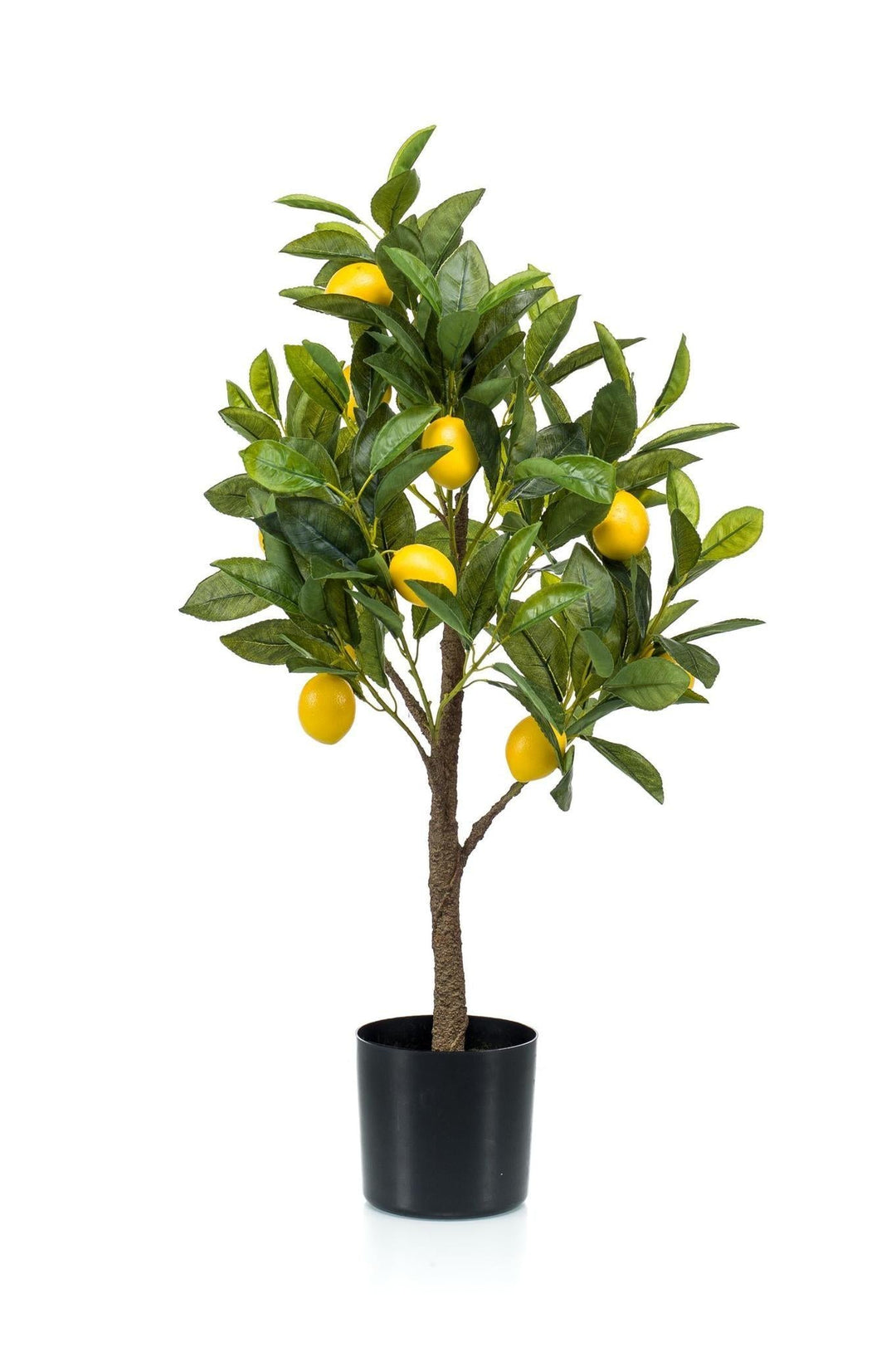 Citrus Limonia - Zitronenbaum - 72 cm - kunstpflanze-Plant-Botanicly