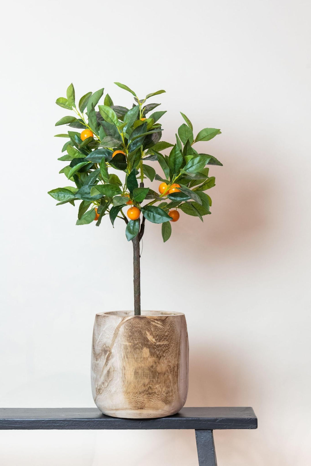 Citrus Sinensis - Orange baum - 75 cm - kunstpflanze-Plant-Botanicly