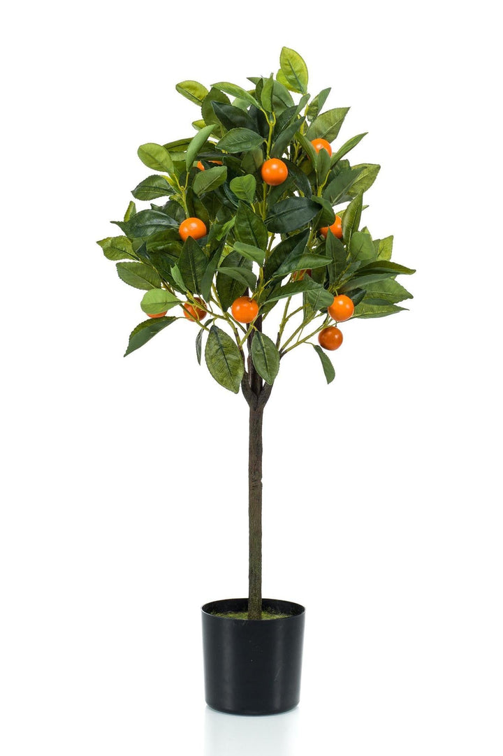 Citrus Sinensis - Orange baum - 75 cm - kunstpflanze-Plant-Botanicly