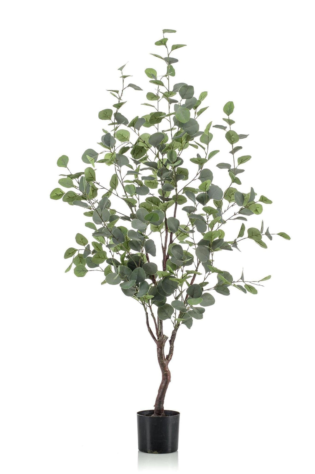 Eucalyptusbaum - Blauer Gummibaum - 120 cm - kunstpflanze-Plant-Botanicly