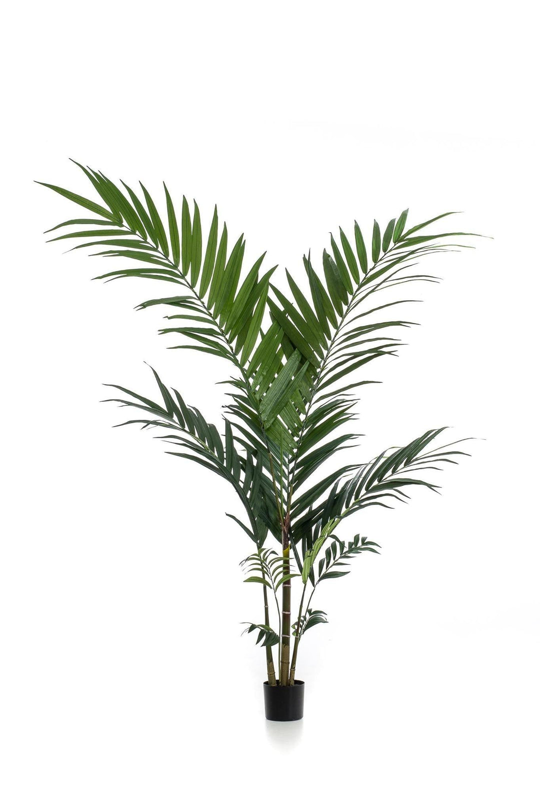 Kentiapalme - 150 cm - kunstpflanze-Plant-Botanicly