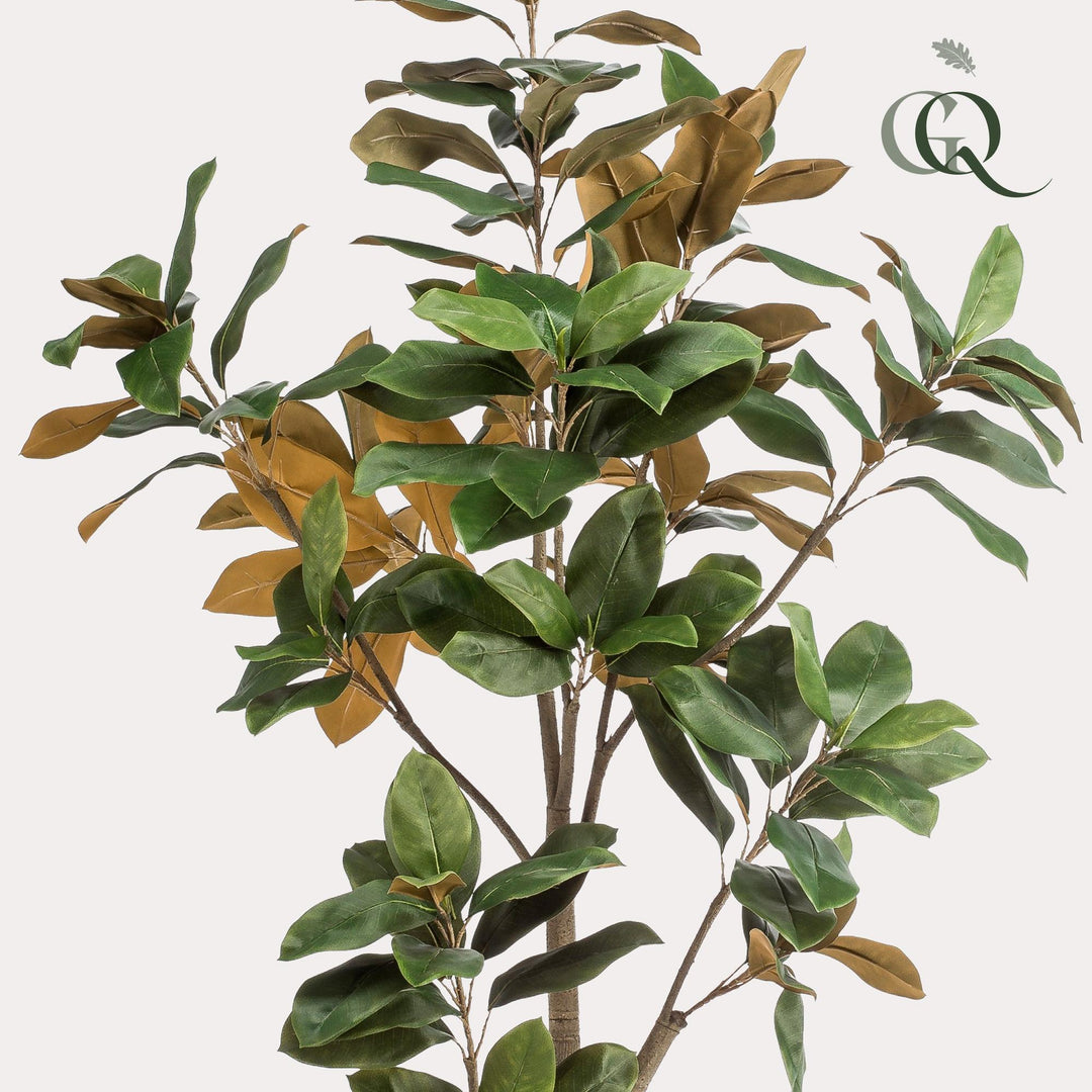 Magnolia Grandiflora - 180 cm - kunstpflanze-Plant-Botanicly