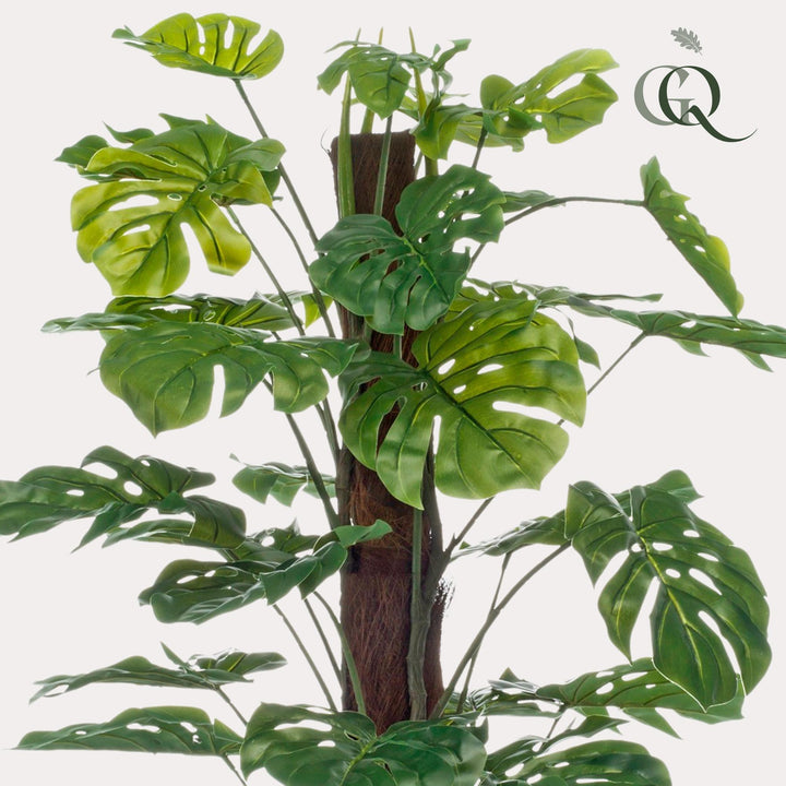 Monstera Deliciosa - Löcherpflanze - 120 cm - kunstpflanze-Plant-Botanicly